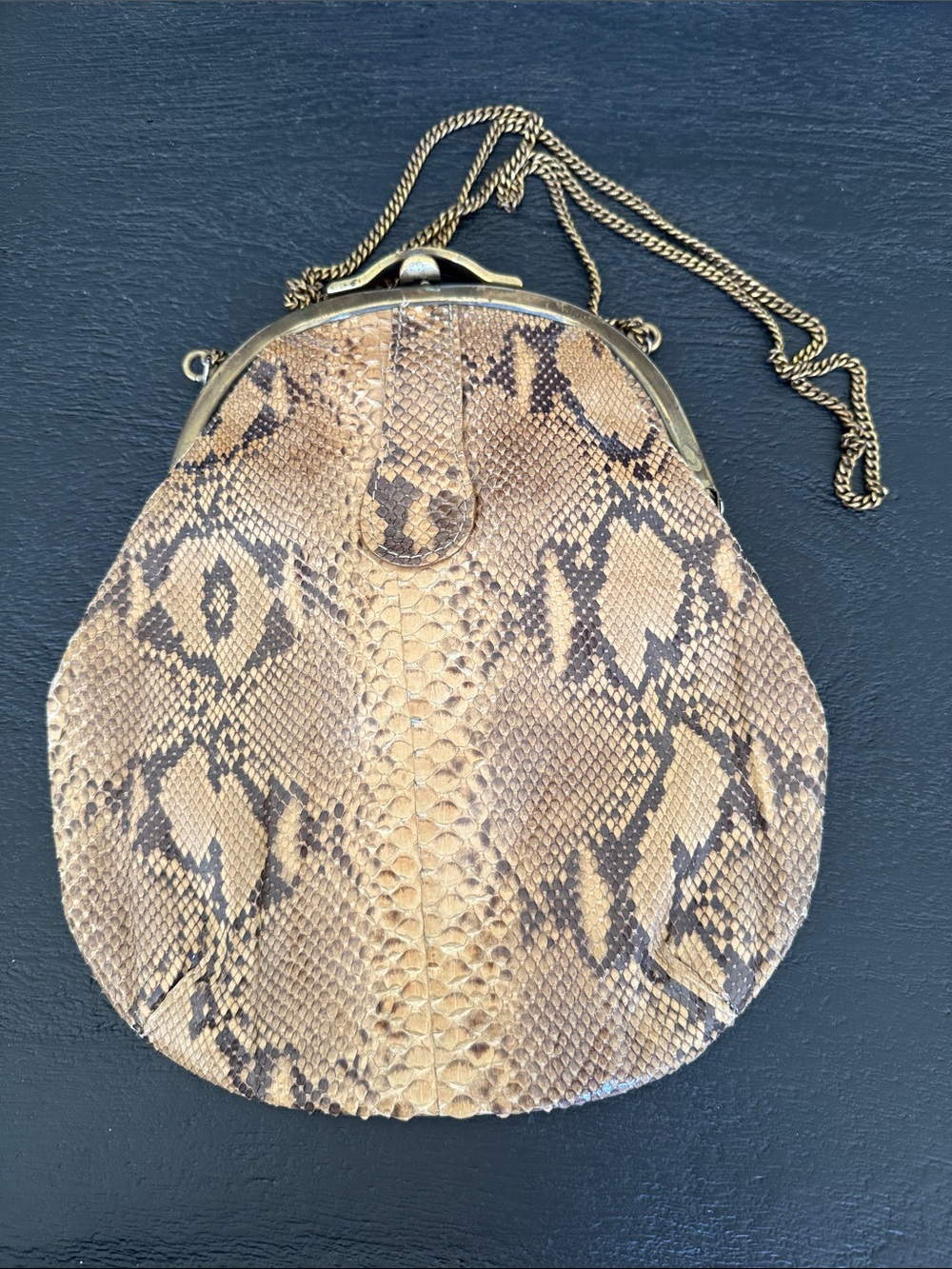 Vintage Snake Skin Shoulder Bag in Beige and Black